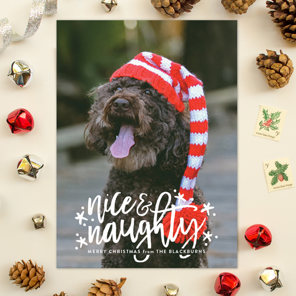 naughty and nice funny holiday card